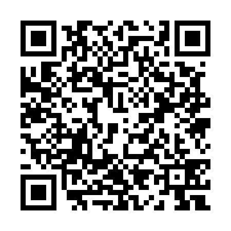 QR code for Z915393