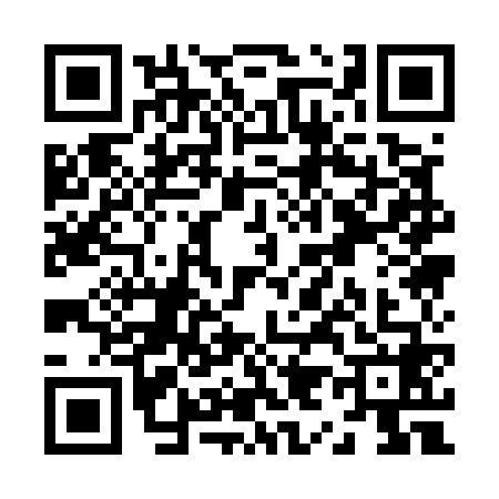 QR code for Z915689