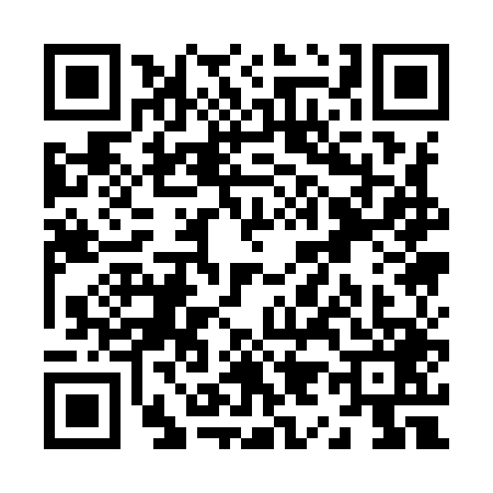 QR code for Z919491