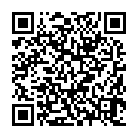 QR code for Z91982