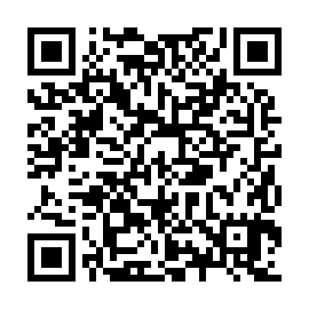 QR code for Z92985