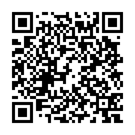 QR code for Z93031