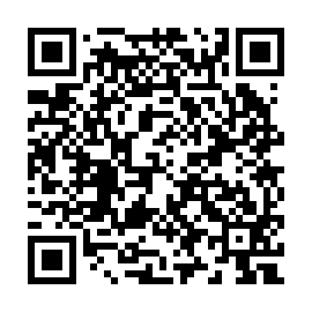 QR code for Z93293
