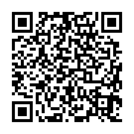QR code for Z933815