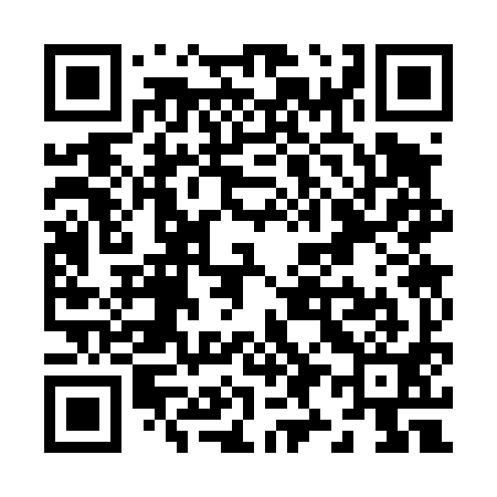 QR code for Z93491