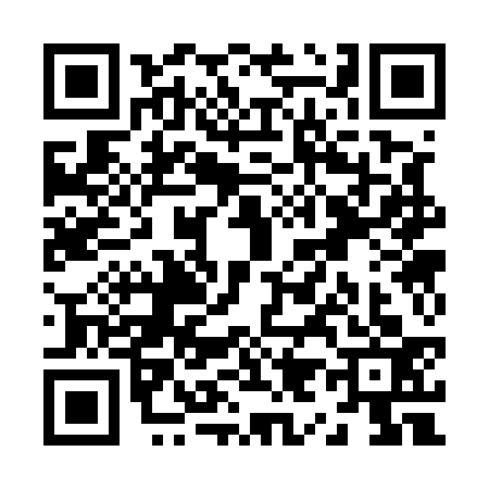 QR code for Z935331