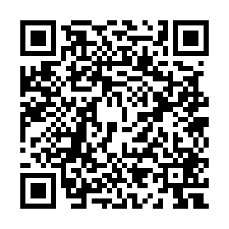 QR code for Z935498