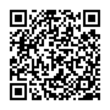 QR code for Z93665
