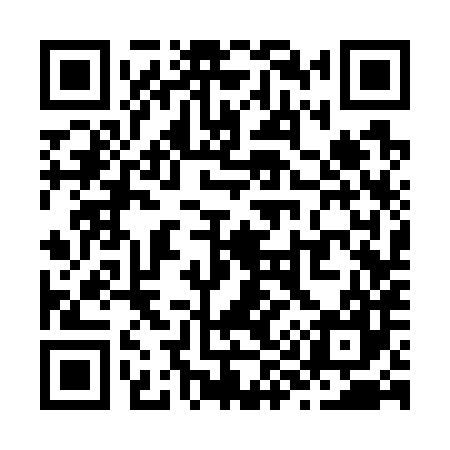 QR code for Z93787