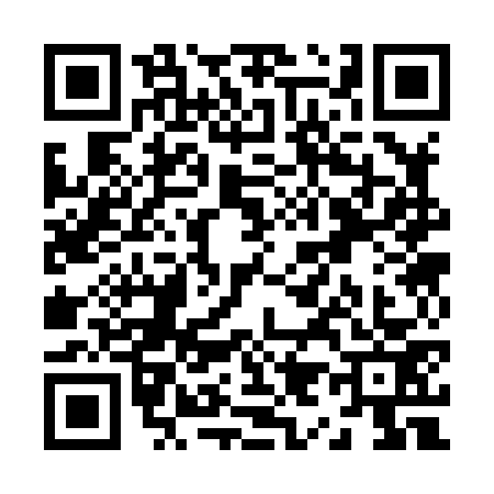 QR code for Z938732