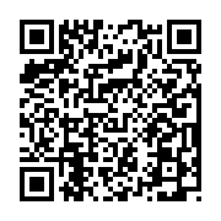 QR code for Z939498