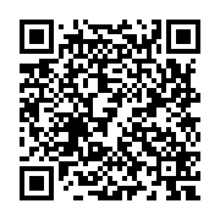 QR code for Z93969