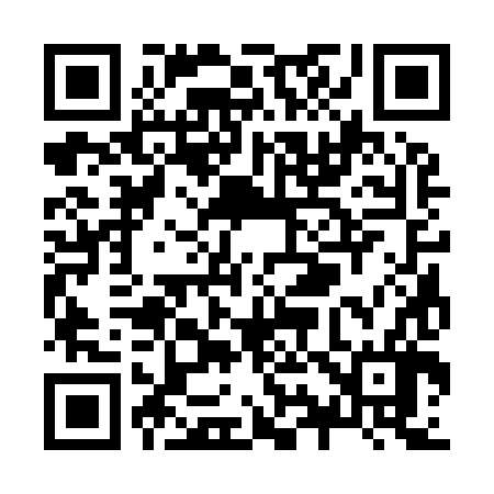 QR code for Z93986
