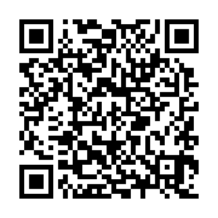 QR code for Z94381