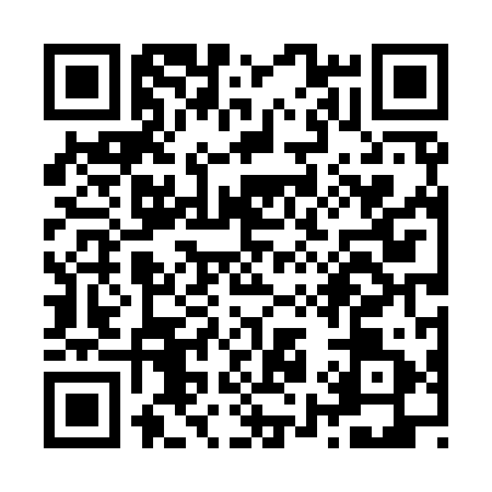 QR code for Z949911