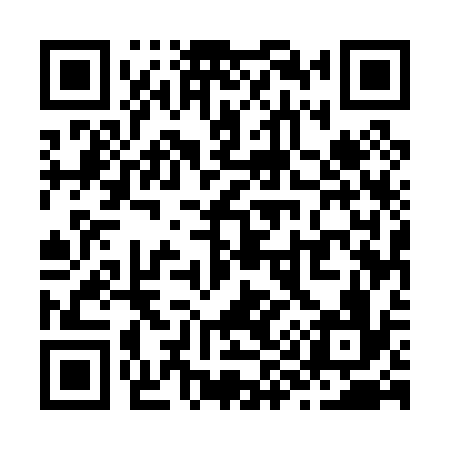 QR code for Z95036