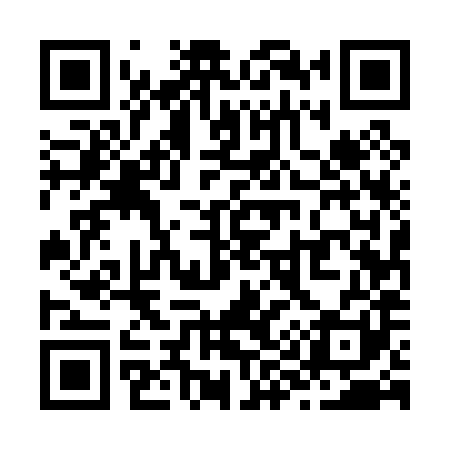 QR code for Z95081