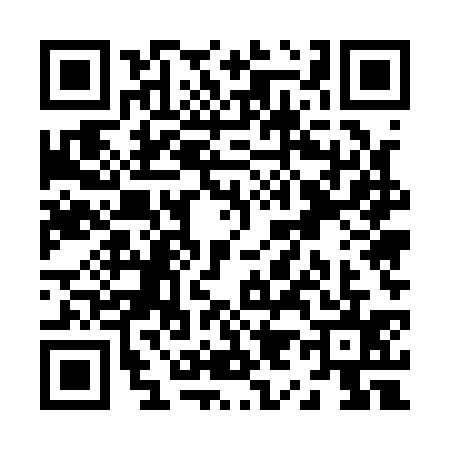 QR code for Z951356