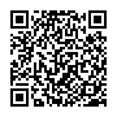 QR code for Z95221