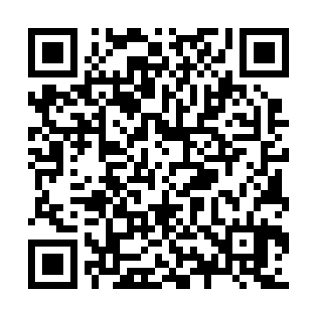 QR code for Z95224