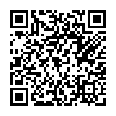 QR code for Z953386