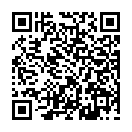 QR code for Z953893