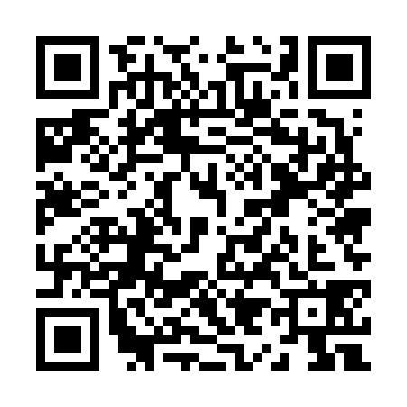 QR code for Z956384