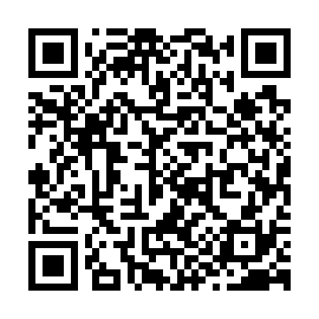QR code for Z95730