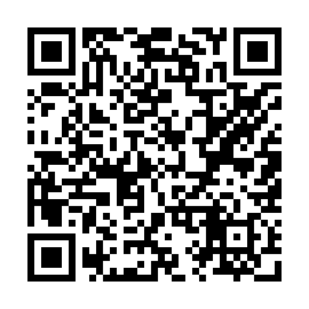 QR code for Z95838