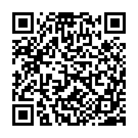 QR code for Z95852