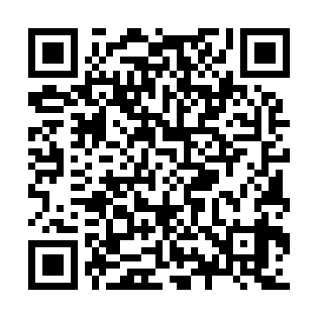 QR code for Z95939