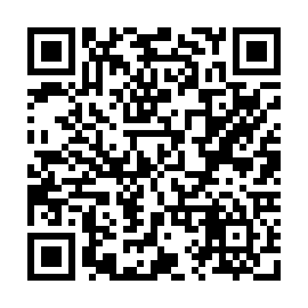 QR code for Z96025