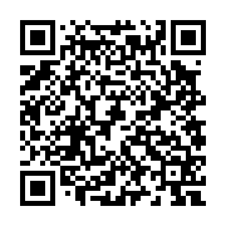 QR code for Z96064
