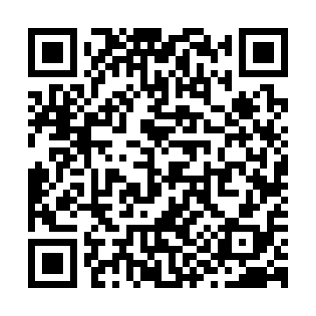 QR code for Z96318