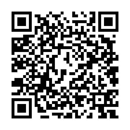 QR code for Z964313