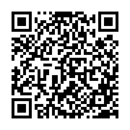 QR code for Z96546