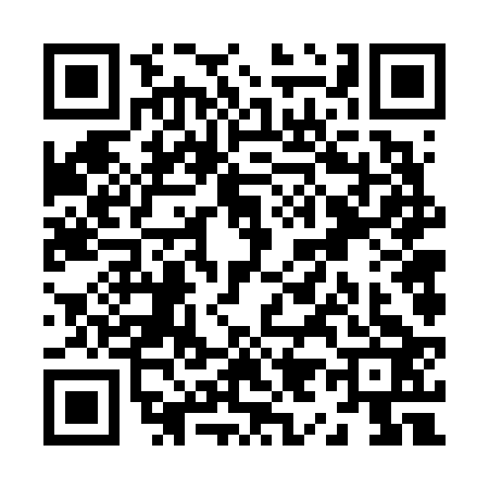 QR code for Z966239
