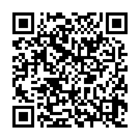 QR code for Z96838