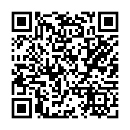QR code for Z96963