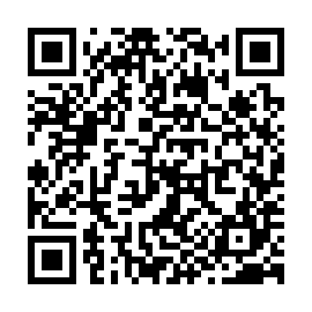 QR code for Z97384