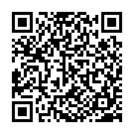 QR code for Z97394