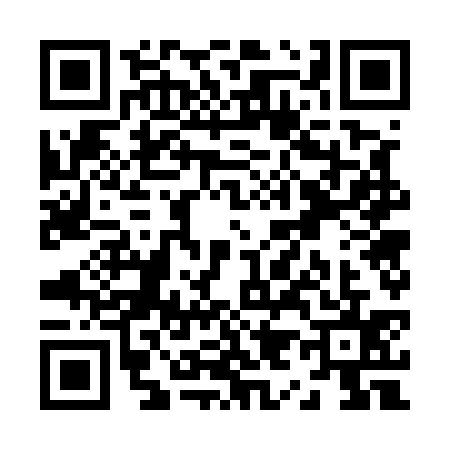 QR code for Z975351