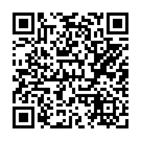 QR code for Z97619