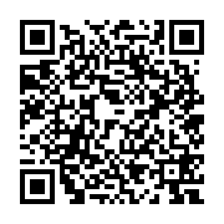 QR code for Z976689