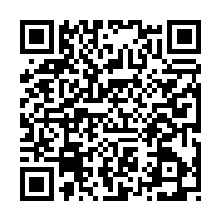 QR code for Z980778