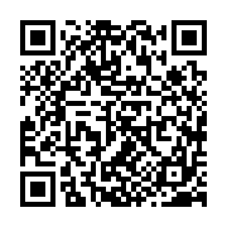 QR code for Z98317