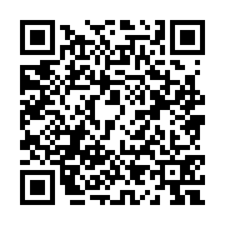 QR code for Z983710