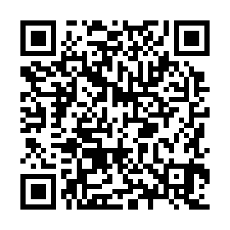 QR code for Z98381