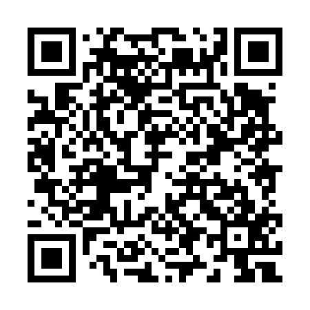 QR code for Z98417