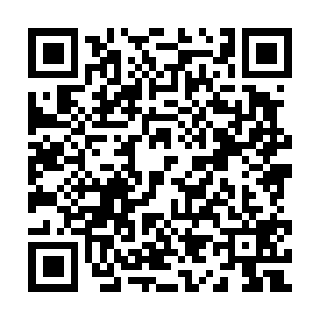 QR code for Z984197